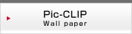 Pic-CLIP